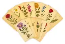 48252-Botanical Rubbing Plates FAN 2-300dpi.webp