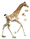 5124802_4.webp