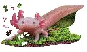 5124026_4.webp