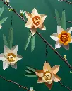 T2026-03_Tonpapier_Narzissen_BH_01.webp