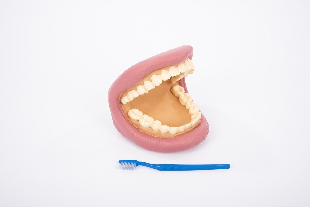 DENTIER GEANT