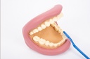 DENTIER GEANT