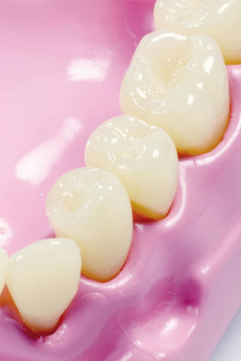 DENTIER 10CM