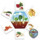D'OU VIENNENT LES ALIMENTS?