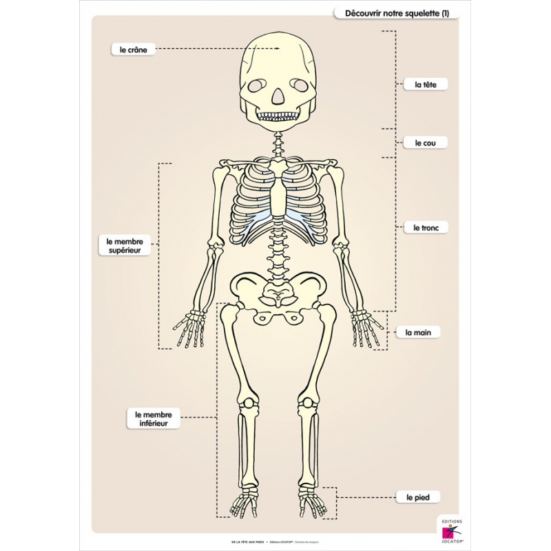 FICHIER DE LA TÊTE AUX PIEDS