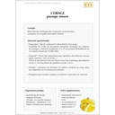 FICHIER : EDUCATION MUSICALE