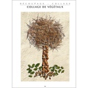 FICHIER : L'ECOLE DE L'ARBRE