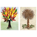 FICHIER : L'ECOLE DE L'ARBRE