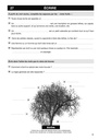 L'ARBRE AUX MOTS, 4EME-6EME PRIM