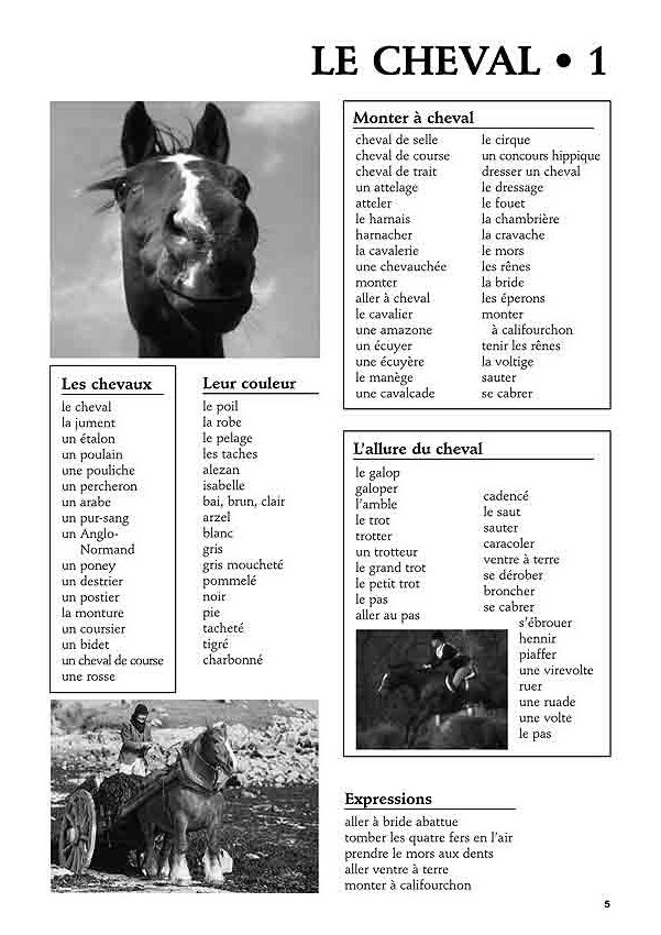 VOCABULAIRE POUR L'EXPRESSION ECRIT