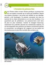 LES ENQUÊTES DE LA FOUINE, TOME 6