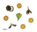 FEUILLES ET FRUITS,SET DE 10 TAMPON