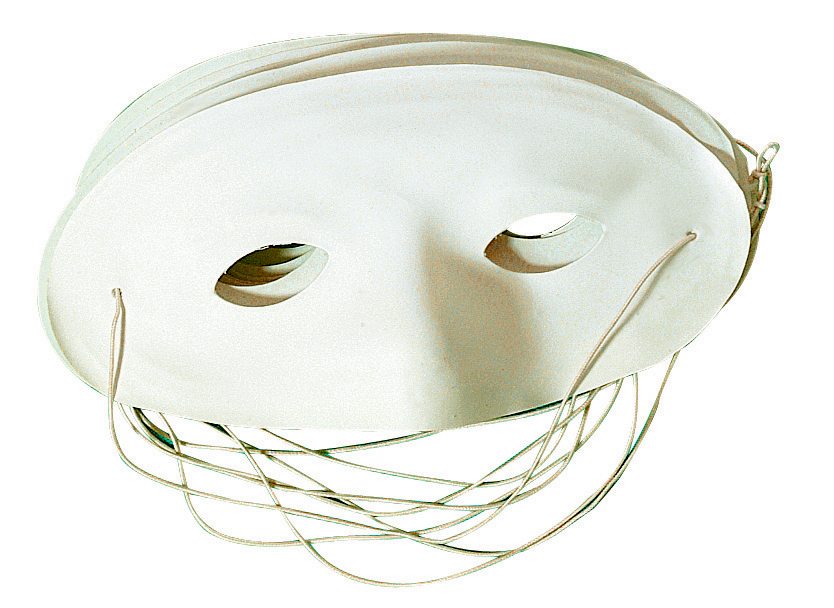 MASQUE LOUP PLASTIQUE, LOT DE 5* NOUVEAU