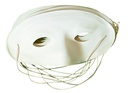 MASQUE LOUP PLASTIQUE, LOT DE 5* NOUVEAU