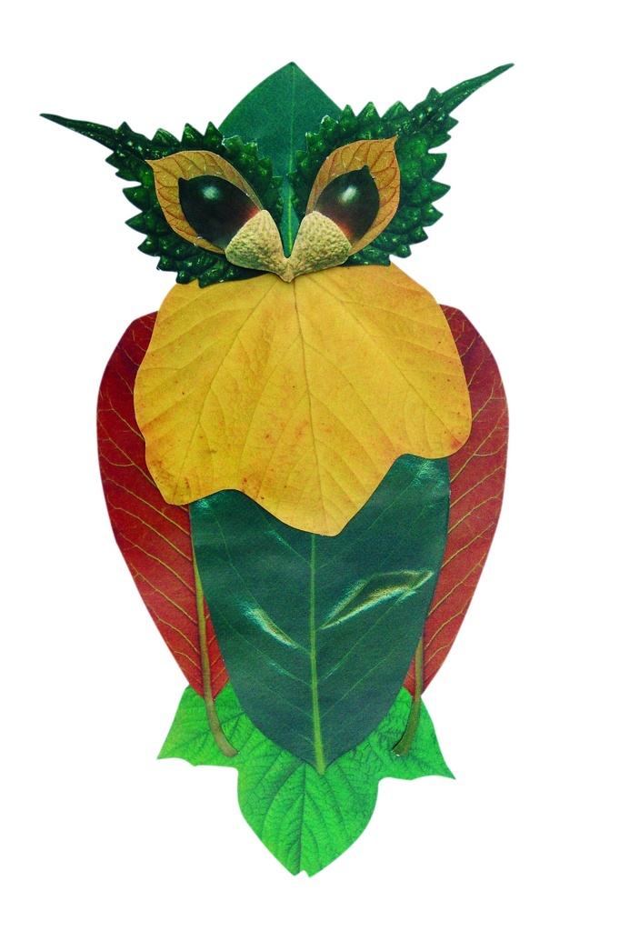 FEUILLES ART DE LA NATURE