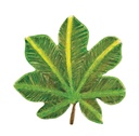 POCHOIRS NATURE LES FEUILLES, LOT DE 12