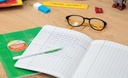 CAHIER CLAIREFONTAINE COUPE DEFICIENT VISUEL - SEYES, PIECE* NOUVEAU