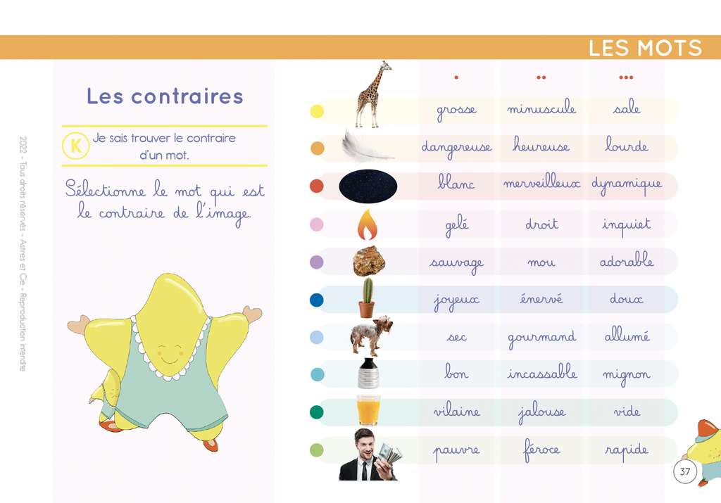 CHEVALET ETOILIUM "N°1 FRANCAIS ET MATHEMATIQUES"* NOUVEAU