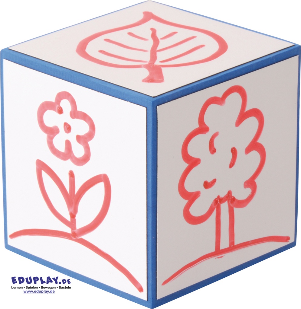 CUBES EFFACABLES, 8 CM
