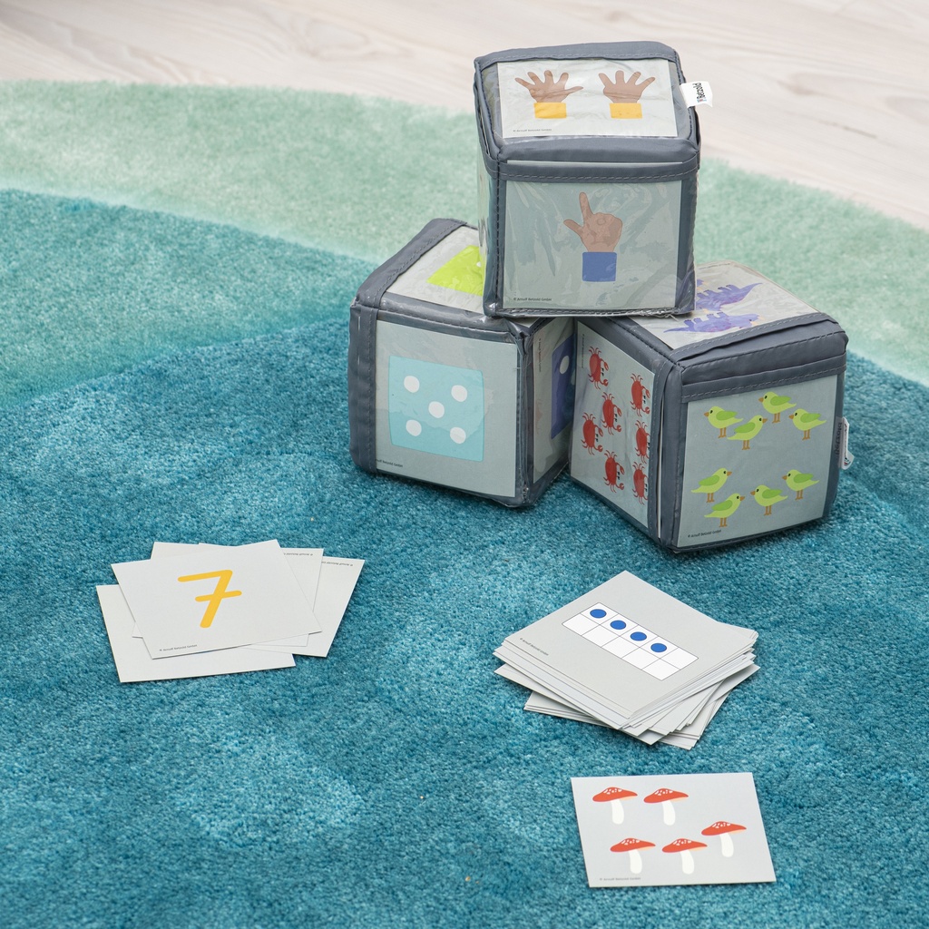 CARTES NUMERIQUES