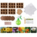 COFFRET ECOLE: 5 VARIÉTÉS DE FLEURS