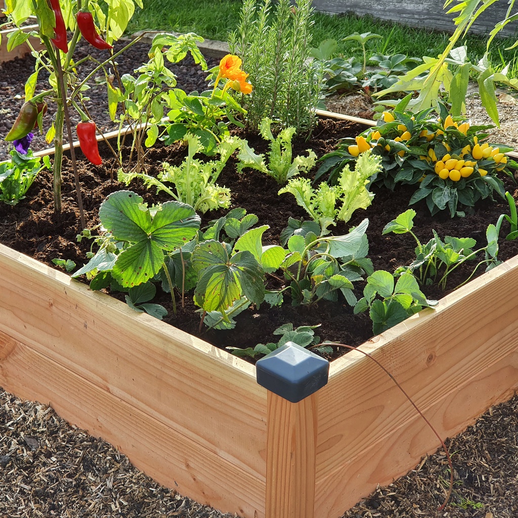 POTAGER EN BOIS DOUGLAS