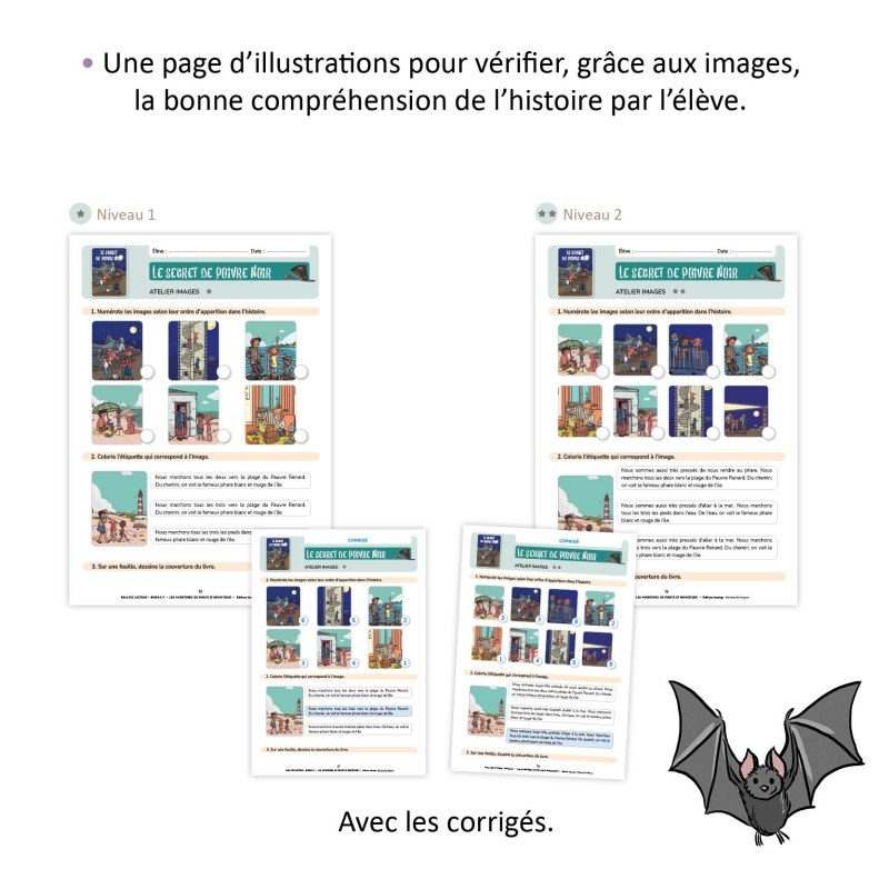 LES AVENTURES DE PIRATE ET MOUSTIQUE. LE FICHIER PÉDAGOGIQUE