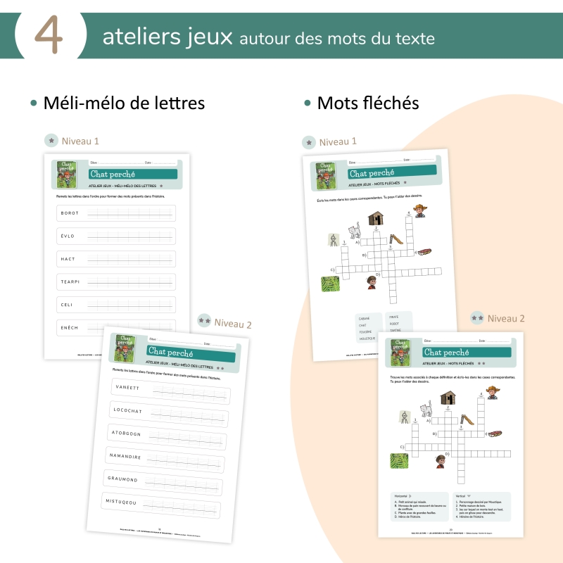 LES AVENTURES DE PIRATE ET MOUSTIQUE, LE FICHIER PÉDAGOGIQUE-NIVEAU2