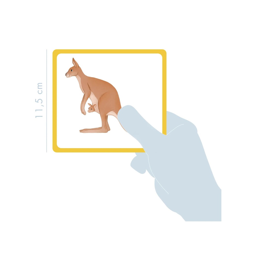 IMAGIER: LES ANIMAUX SAUVAGES