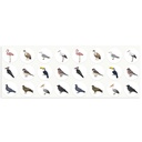 GOMMETTES ADHÉSIVES LES ANIMAUX, 4 ROULEAUX