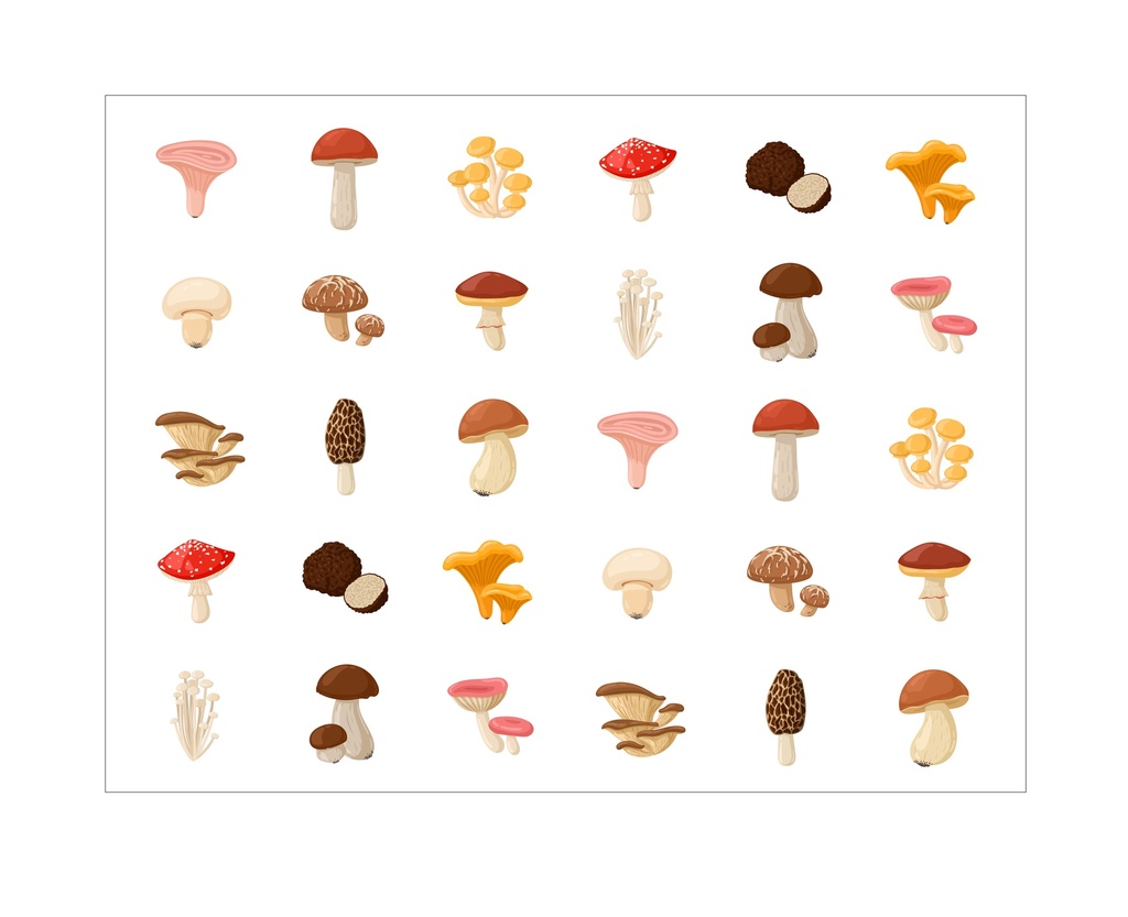 GOMMETTES ADHÉSIVES CHAMPIGNONS