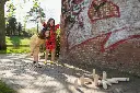 ga128_outdoor_2018.webp
