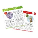 lames-pour-microscope (2).webp