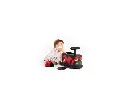 Italtrike_la cosa_Animals_2000_LADYBUG_web_10_6311.webp
