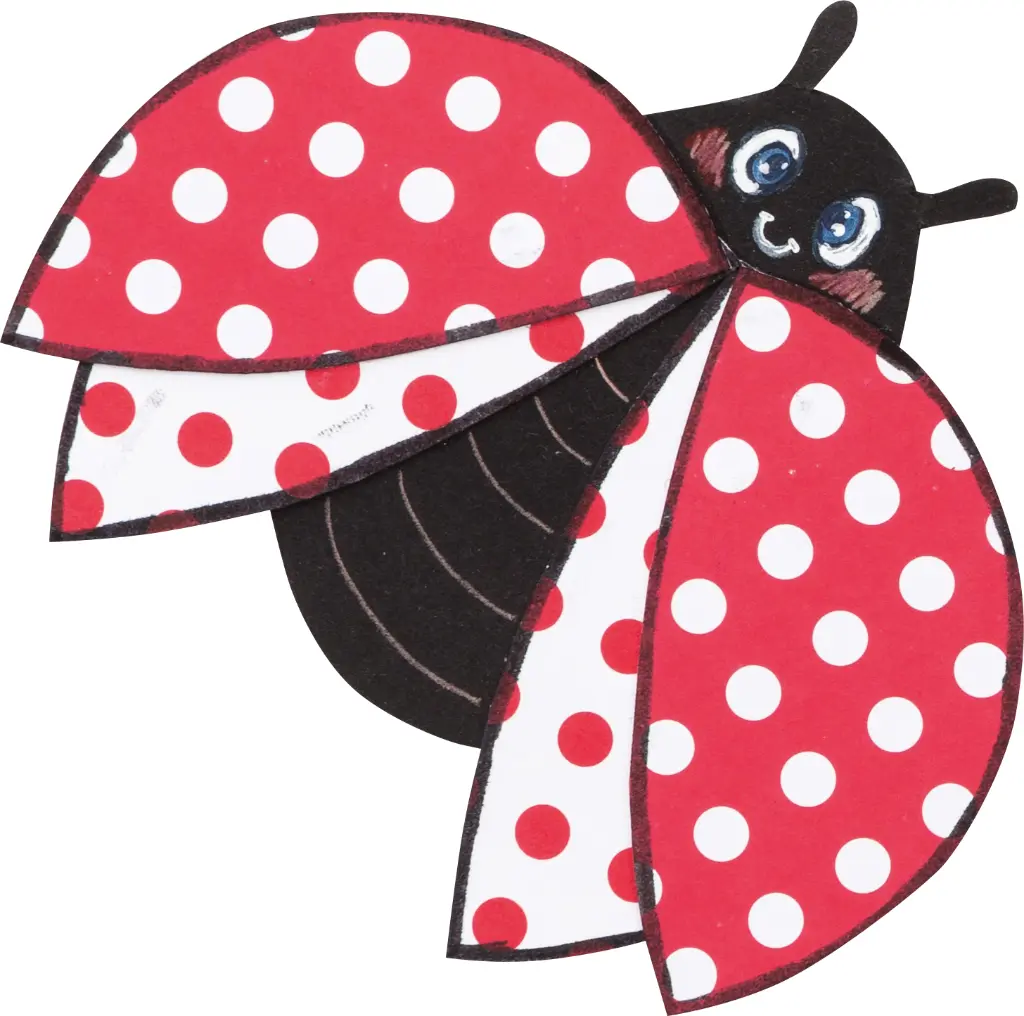 FOLIA_RGB_50803.webp