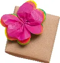 FOLIA_RGB_91088.webp