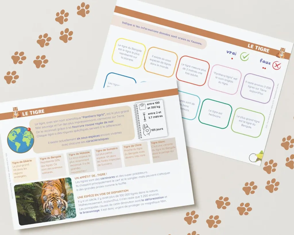 Livret Animaux sauvages (4).webp