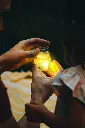 GP4PKALEX-Yellow-03.webp