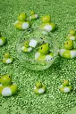 PBHBFROG_14.webp