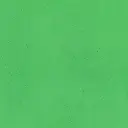 ecola_6017.webp