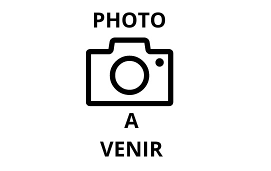SCHOOLGOUACHE, ASSORTIMENT VAN 12 FLAC0NS