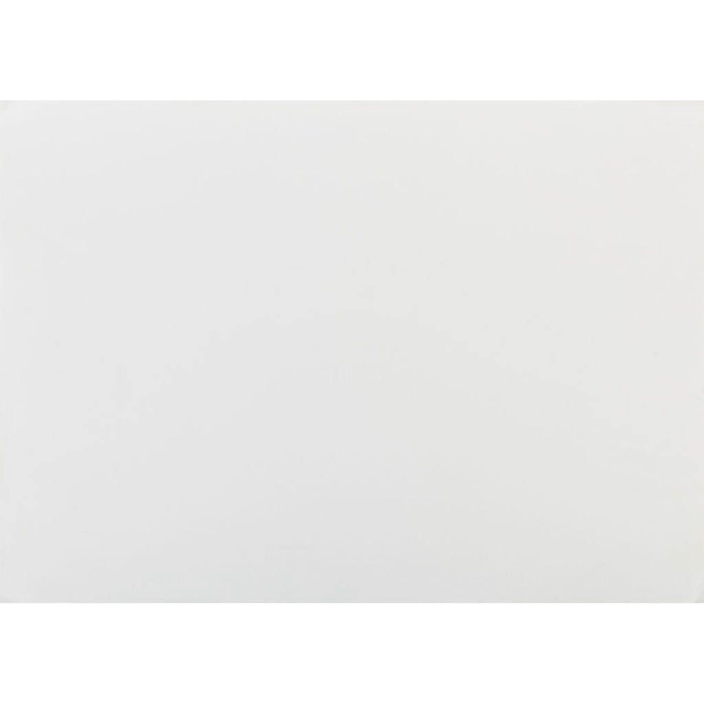 PAPIER STEINBACH 250G 55X73/FEUILLE