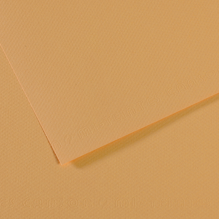 CANSON MI-TEINTE HANF-PAPIER