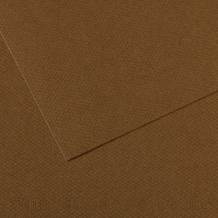 CANSON MI-TEINTE BROWN PAPER