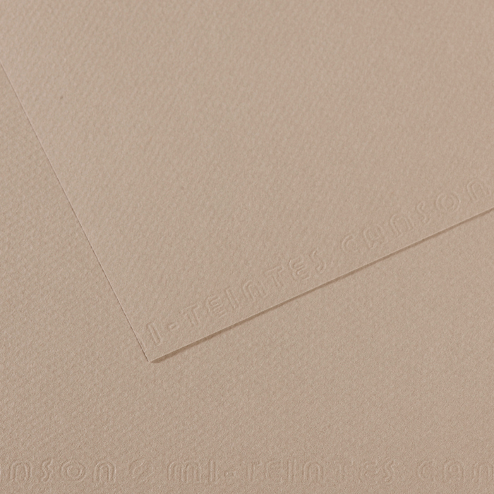 CANSON MI-TEINTE GREY FLANEL PAPER