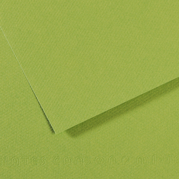 CANSON MI-TEINTE APPELGROEN PAPIER