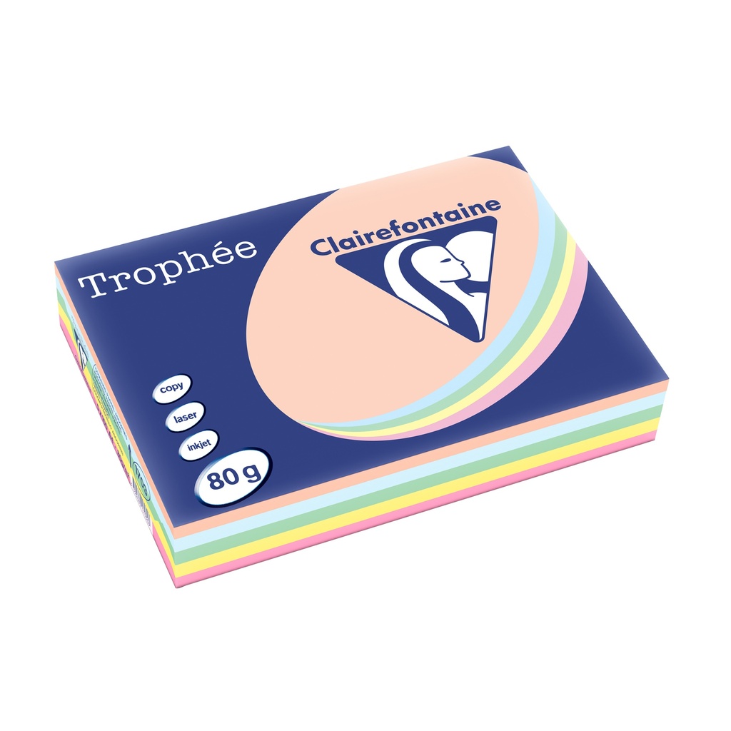 PASTEL REPROPAPIER A4 80G/500 ASS.