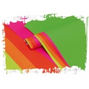 PAPIER AFFICHE FLUO 60X80CM, 10 FEUILLES