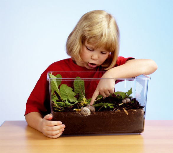 TERRARIUM