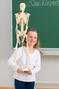 SQUELETTE 85CM